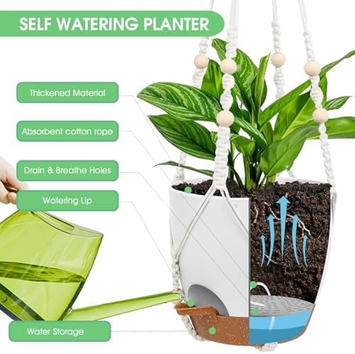 Hanging Planters for Indoor Outdoor Plants, 2 Pack Self Watering Hanging Pots, Hanging Plant Baskets with Drainage Holes & 2 Types of Plant Hangers (Green, 6'')