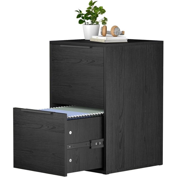 2-Drawer Wood Filing Cabinet for Letter/Hanging Files, Small Under Desk Storage for Home Office, Black, Assembly Required