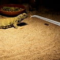 thumbnail image 4 of NUOLUX 2Ud Accesorio Para Reptiles En Vidrio Con Pinzas Resistentes Y Versátiles, 4 of 8