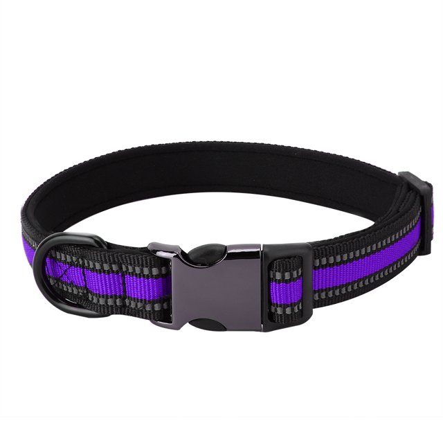 Durable Puppy Dog Cat Collar Personalized Pet ID Neck Strap (Purple M)