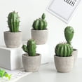 thumbnail image 4 of Gwong Decoración hogareña Cactus Ornament Simulación artificial Cemento Cactus Cactus Figura Muestra de visualización para el hogar Gwong 21060608, 4 of 6