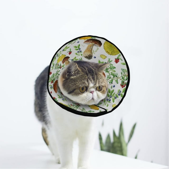 Cowberry Myrtille Champignons Doux Chat Chien Récupération Collier Réglable Chat Cône Blessure Cicatrisation Protection après la Chirurgie pour les Cônes de Chiot après la Chirurgie