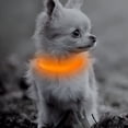 thumbnail image 1 of Collar LED Dog Glow BSEEN recargable por USB para mascotas pequeñas, 1 of 16