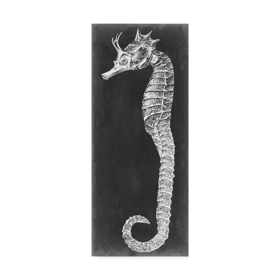Trademark Fine Art 'Seahorse Blueprint I' Canvas Art by Vision Studio