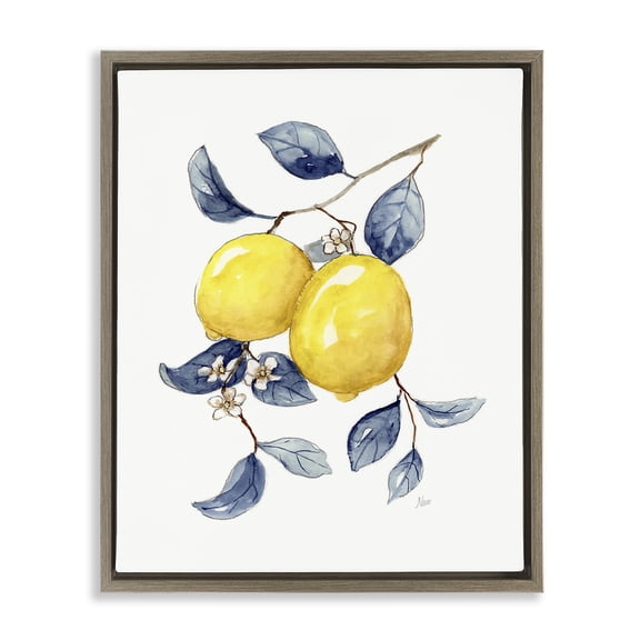 Stupell Industries French Country Minimal Lemon Fruits Brown Floating Frame Canvas Art, 17 x 21, by Nan
