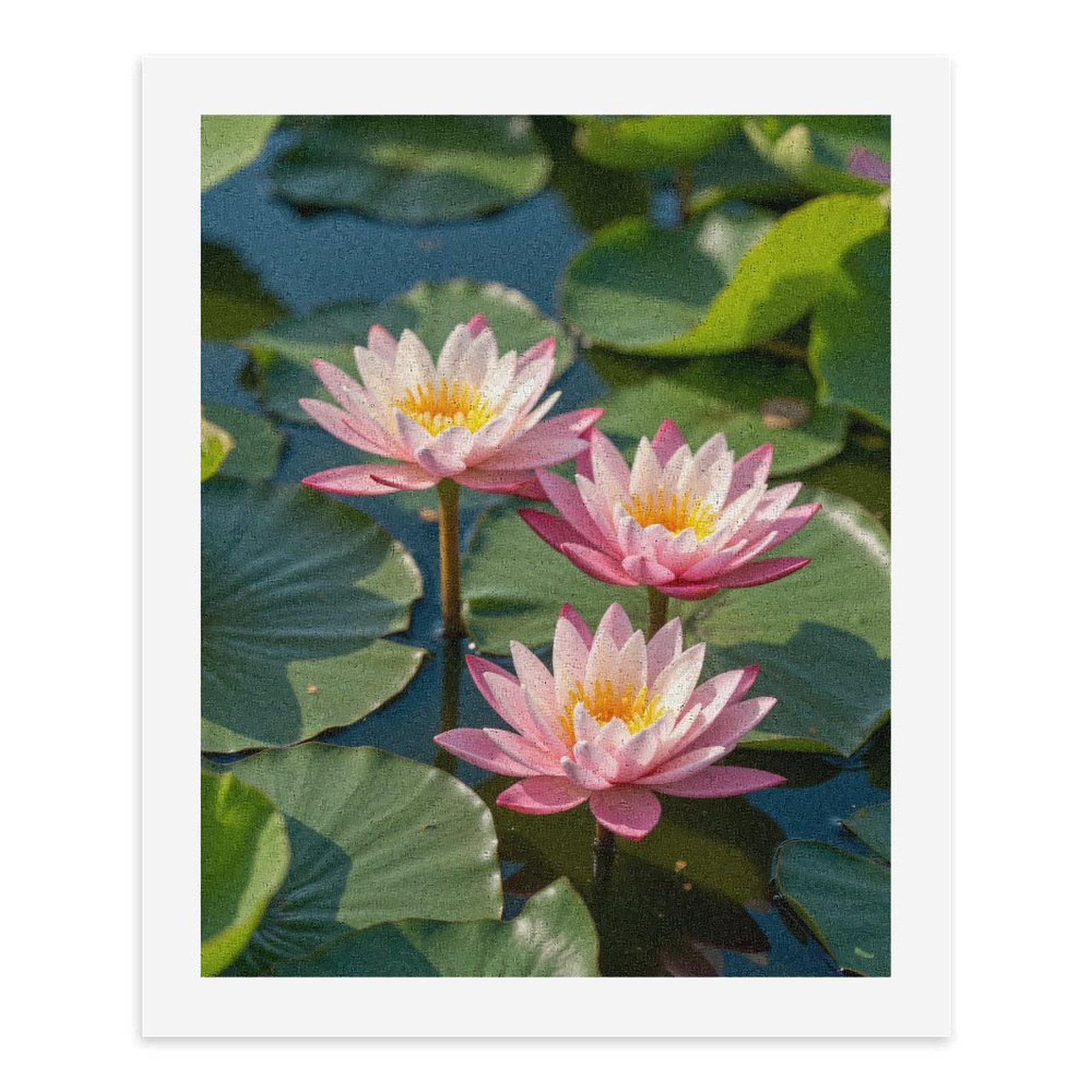 Paint by Numbers Kit for Adults, Lotus Flowers On Calm Water Paint by Numbers, Easy Paint by Numbers Kit for Adults Beginner, DIY Adult Paint by Number Kits on Canvas, 12x16in Home Decor