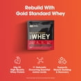 thumbnail image 6 of Optimum Nutrition Fitness Starter Kit - Includes Gold Standard 100% Whey Protein, Amino Energy, Micronized Creatine - 9 Packet Sample Size, 6 of 13