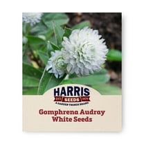 Harris Seeds - Gomphrena Audray White Seeds - Rounded Flowers - 250 Seeds