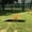 Natural#7, variant on Dog Bed PawHut Wooden Dog Agility Seesaw for Training and Exercise, Platform Equipment Run Game Toy, Weather Resistant Pet Supplies, 71" L x 12" W x 12" H, Gray,Large Dog Bed