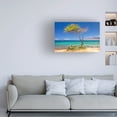thumbnail image 3 of Pierre Leclerc Photography 'Maui Tree' Canvas Art, 3 of 4
