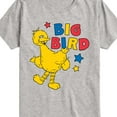 thumbnail image 3 of Sesame Street - Big Bird Color Block - Toddler and Youth Short Sleeve Graphic T-Shirt, 3 of 5