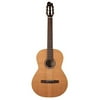 Godin 049691 Etude Nylon String Acoustic Classical Guitar