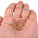 thumbnail image 4 of Fishing Line Aligner Anti-tangle Hook Sleeves Bent Hook Aligner Carp Fishing Hair Rig Accessory, 4 of 5