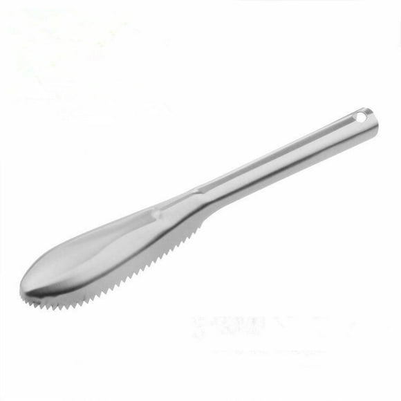 Fish Scaler, Fish Scale Scraper 22.5*3.5cm