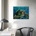 thumbnail image 4 of Orinice Turtle Ocean Coral Reef Fine Art Aesthetic Poster & Print Wall Painting for Home Decor 16x12in, 4 of 6