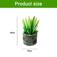 thumbnail image 2 of 2pcs simulation succulent bonsai creative home interior decoration artificial green plants - type:style1, 2 of 5