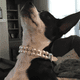 thumbnail image 5 of Collar de perlas de cuero PU para perro y gato, decoración bonita con diamantes de imitación de cristal para mascota, 5 of 5