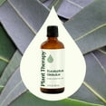 thumbnail image 2 of Plant Therapy Eucalyptus Globulus Essential Oil 100 mL (3.3 oz) for Diffuser, Skin, Hair, Aromatherapy DIYs, and Clear Breathing, 100% Pure, Undiluted, Natural Aromatherapy, 2 of 7