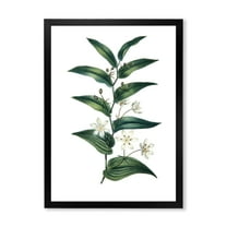 Designart 'Little White Flowers With Ancient Plant' Farmhouse Framed Art Print
