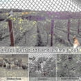thumbnail image 5 of Heavy Anti Bird Netting Net Garden Fence And Crops Protective Fencing Mesh Anti Bird Deer Cat Dog Chicken Net Fishing Net-hao, 5 of 5