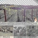 thumbnail image 5 of Heavy Anti Bird Netting Net Garden Fence And Crops Protective Fencing Mesh Anti Bird Deer Cat Dog Chicken Net Fishing Net-hao, 5 of 5