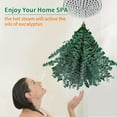 thumbnail image 2 of 30 Pcs Eucalyptus for Shower, Dried Hanging Bundle -17in Real Eucalyptus Stems,100% Natural Leaves Greenery Stems & Aromatic Shower Plant, Home Decor, Party Present, Wedding Gift, 2 of 8