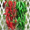 thumbnail image 3 of Flmtop Artificial Fruit Foam Vegetable Corn Pepper Garlic Hanging Photo Prop Home Decor, 3 of 7