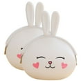 thumbnail image 1 of SHISUYAN 2pcs Silicone Pouch Purse Wallet Multifunction Cartoon Bunny Short Coin Purse, 1 of 9