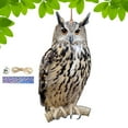 thumbnail image 3 of Bird Repel Scarecrow, Owl Scarecrow Scarer Pendant, Decorative Scarer Pendant with Bell, Fake Bird Scare Device, Waterproof Patio Balcony Garden Decorations, 3 of 10