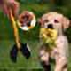 thumbnail image 5 of Jinsinto Pet Poop Shovel, Dog/Cat Cleaning Tool, 5 of 5