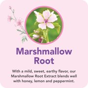 Botanic Choice Marshmallow Root Liquid Extract , Respiratory & Throat Health Support, Gluten-free, Non GMO, Alcohol-Free ,1 oz