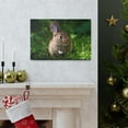 thumbnail image 5 of Majestic Rabbit Art Majestic Rabbit Print Animal Wall Art Wildlife Canvas Prints Wall Art Ready to Hang Unframed, 5 of 18