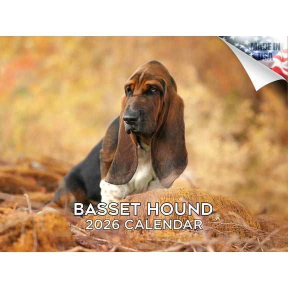 2025 2026 Basset Hound Calendar - Dog Breed Monthly Wall Calendar - 12 x 18 Open - Thick No-Bleed Paper - Giftable - Made in USA