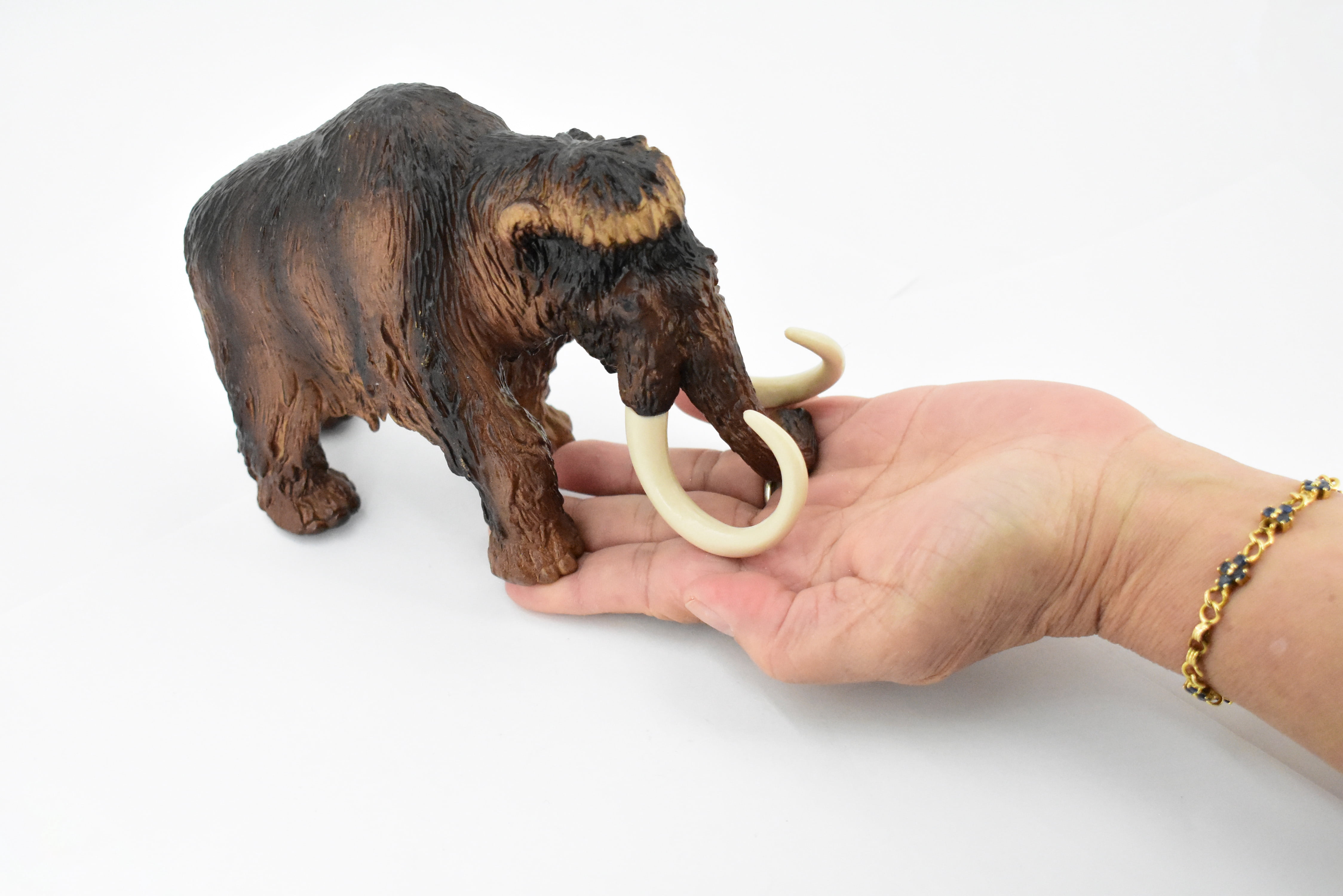 Wooly Mammoth, Prehistoric Mammal, Museum Quality, Hand Painted