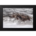 thumbnail image 1 of Malovrh, Milan 24x17 Black Modern Framed Museum Art Print Titled - Black Dominance, 1 of 4