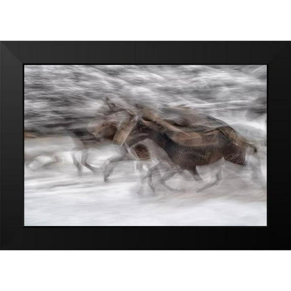 Malovrh, Milan 24x17 Black Modern Framed Museum Art Print Titled - Black Dominance
