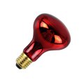 thumbnail image 1 of Inteprter Bombilla infrarroja R80, bombilla infrarroja para mascotas de 100W, bombilla infrarroja que proporciona calor con flujo luminoso de 300LM, boca Iluminación novedosa Inteprter HA015075-00, 1 of 6