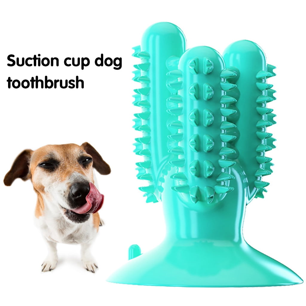 chew toys to clean dogs teeth