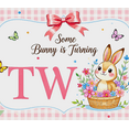 thumbnail image 4 of Adorable Bunny Themed Party Banner with Floral Butterflies Backdrop for Birthday Celebrations Photography Props Party Decorations Happy Birthday Decor Backgrounds, 4 of 7