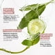thumbnail image 3 of Crema hidratante StriVectin Peptide Plump Collagen Cushion, 3 of 7