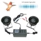 thumbnail image 3 of Bird Sound Player, Ventajosoextraordinario Ordinariosobresaliente Artesanía Finaneotérico Para Exteriores Higoodz Otros, 3 of 8