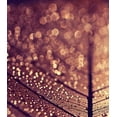 thumbnail image 2 of Beddoes, Ingrid 26x29 Black Ornate Wood Framed with Double Matting Museum Art Print Titled - Gold, 2 of 4