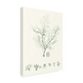 thumbnail image 2 of Vision Studio 'Sage Green Seaweed VII' Canvas Art, 2 of 3