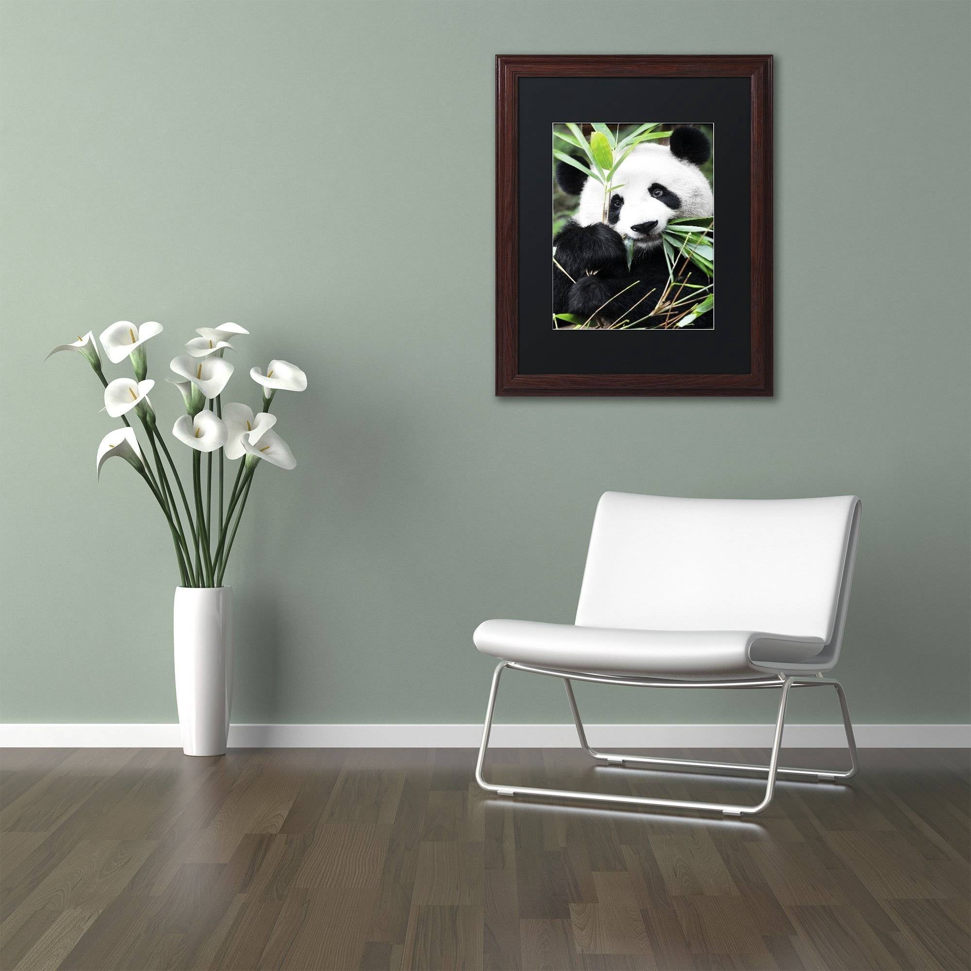 Trademark Fine Art "Giant Panda I" Canvas Art by Philippe Hugonnard, Black Matte, Wood Frame