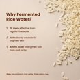 thumbnail image 3 of Spray de agua de arroz fermentada Alps Goodness 100 ml, 3 of 9