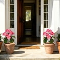thumbnail image 6 of Artificial Geraniums Faux Flowers UV Resistant Realistic Bouquet for Garden Patio Porch Window Box Hanging Basket Home Wedding Party Decorations, 6 of 7