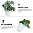 thumbnail image 3 of Moluckfu Planta Artificial En Maceta De Material Resistente Para Decorar Muebles Y Escritorios, 3 of 6