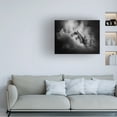 thumbnail image 3 of Brian Carson 'No 188 University Avenue 2' Canvas Art, 3 of 3