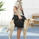 thumbnail image 1 of Arnés de soporte para elevador de perros Yinane Cinturón auxiliar 38x97cm, 1 of 8