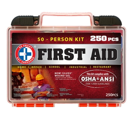 250 Piece OSHA/ANSI First Aid Kit.